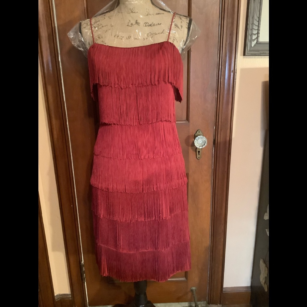 Moda International, Cherry Red Spaghetti Strap, Layered Fringe Dress.